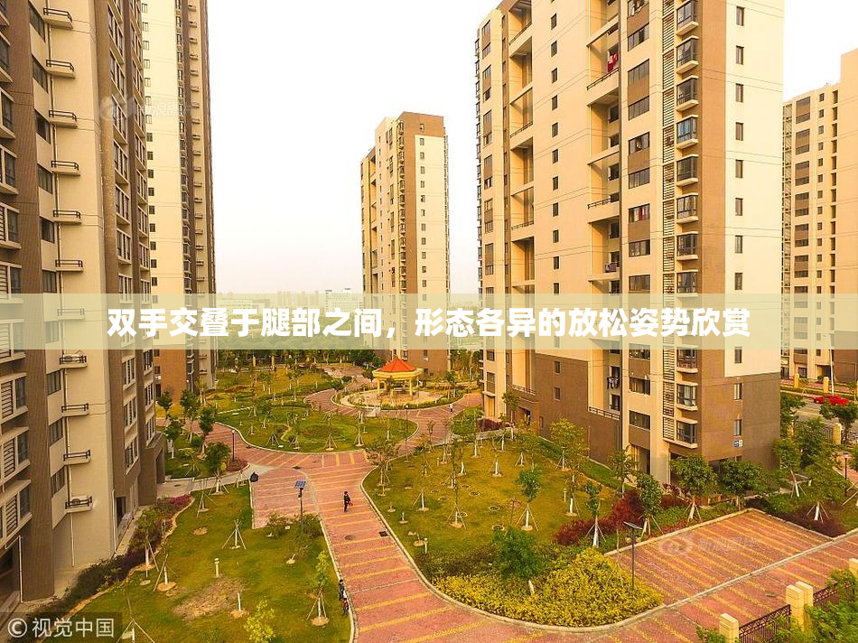 双手交叠于腿部之间，形态各异的放松姿势欣赏