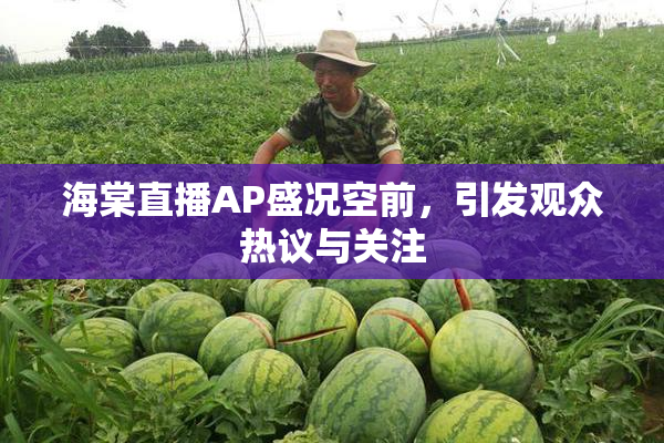 海棠直播AP盛况空前，引发观众热议与关注