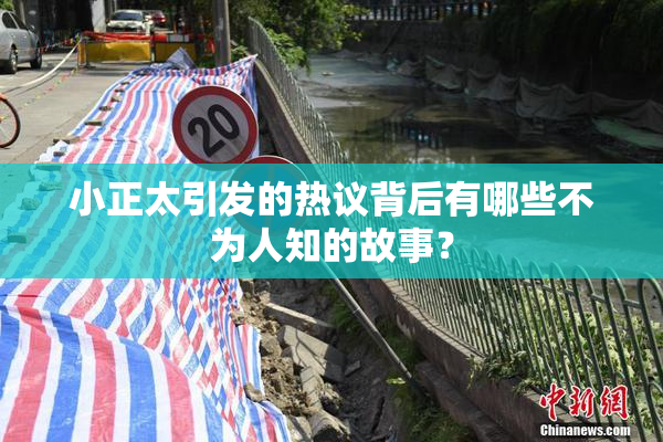小正太引发的热议背后有哪些不为人知的故事？