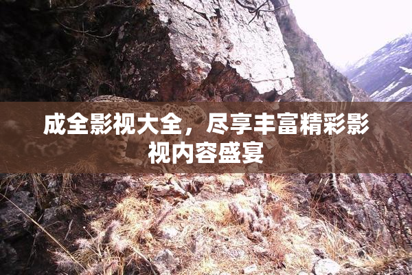 成全影视大全，尽享丰富精彩影视内容盛宴