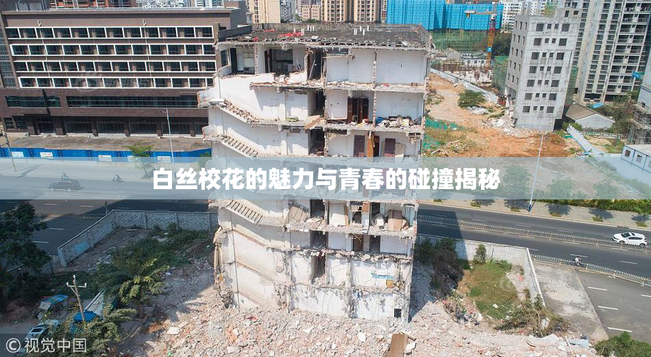 白丝校花的魅力与青春的碰撞揭秘