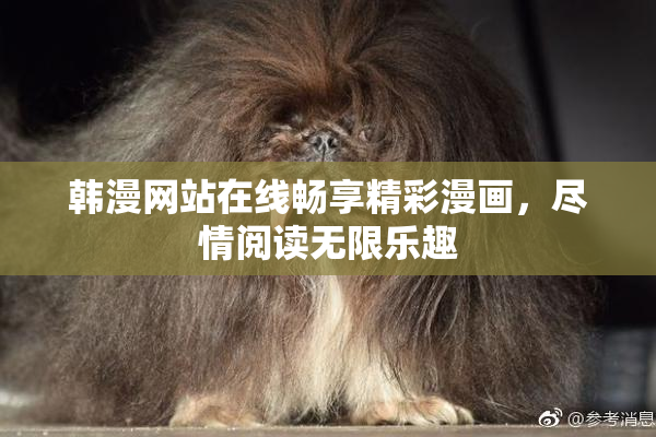 韩漫网站在线畅享精彩漫画，尽情阅读无限乐趣