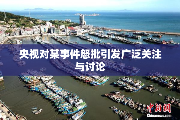 央视对某事件怒批引发广泛关注与讨论