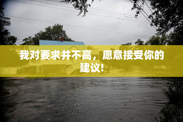 我对要求并不高，愿意接受你的建议!