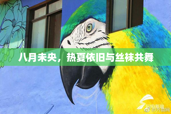 八月未央，热夏依旧与丝袜共舞