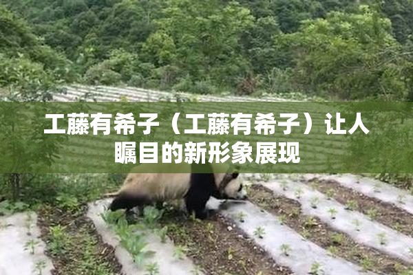 工藤有希子（工藤有希子）让人瞩目的新形象展现