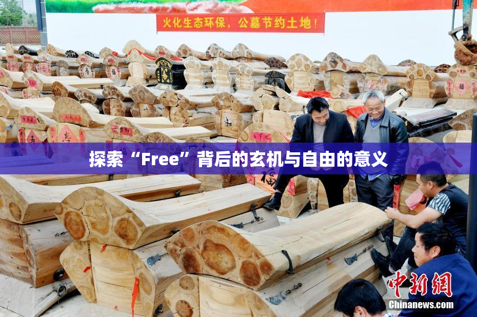 探索“Free”背后的玄机与自由的意义