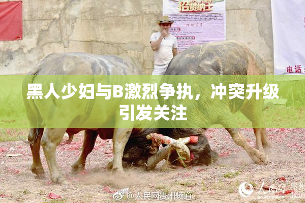 黑人少妇与B激烈争执，冲突升级引发关注