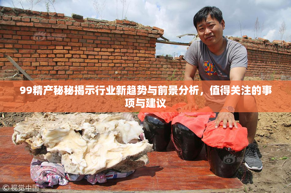 99精产秘秘揭示行业新趋势与前景分析，值得关注的事项与建议