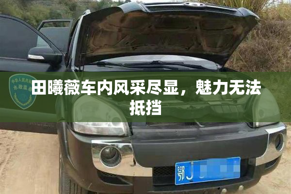 田曦薇车内风采尽显，魅力无法抵挡