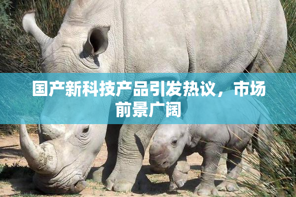 国产新科技产品引发热议，市场前景广阔