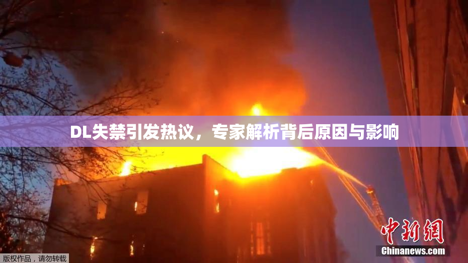 DL失禁引发热议，专家解析背后原因与影响