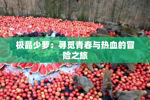 极品少萝：寻觅青春与热血的冒险之旅