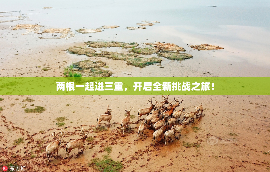 两根一起进三重，开启全新挑战之旅！