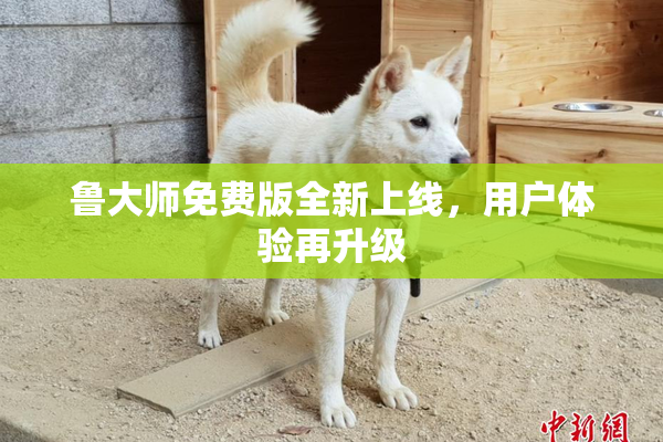 鲁大师免费版全新上线，用户体验再升级