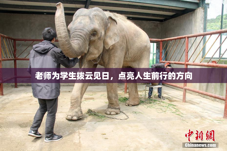 老师为学生拨云见日，点亮人生前行的方向