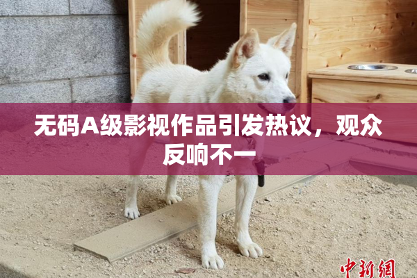 无码A级影视作品引发热议，观众反响不一