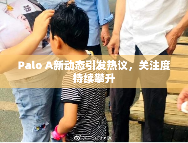 Palo A新动态引发热议，关注度持续攀升