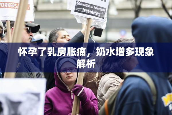 怀孕了乳房胀痛，奶水增多现象解析