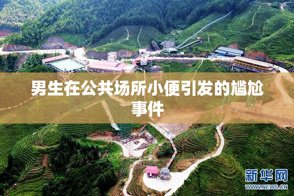 男生在公共场所小便引发的尴尬事件
