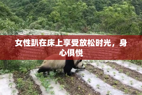 女性趴在床上享受放松时光，身心俱悦