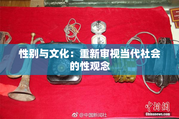 性别与文化：重新审视当代社会的性观念