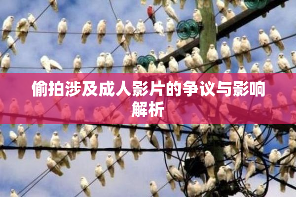 偷拍涉及成人影片的争议与影响解析