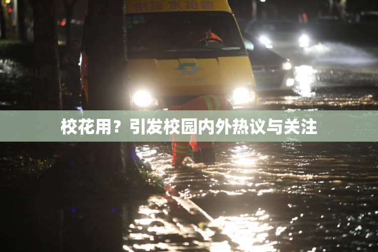 校花用？引发校园内外热议与关注