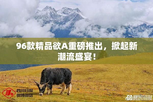 96款精品欲A重磅推出，掀起新潮流盛宴！
