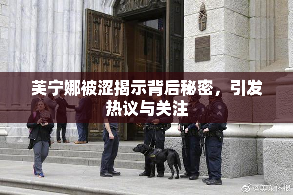 芙宁娜被涩揭示背后秘密，引发热议与关注