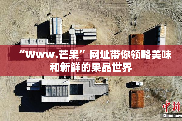 “Www.芒果”网址带你领略美味和新鲜的果品世界