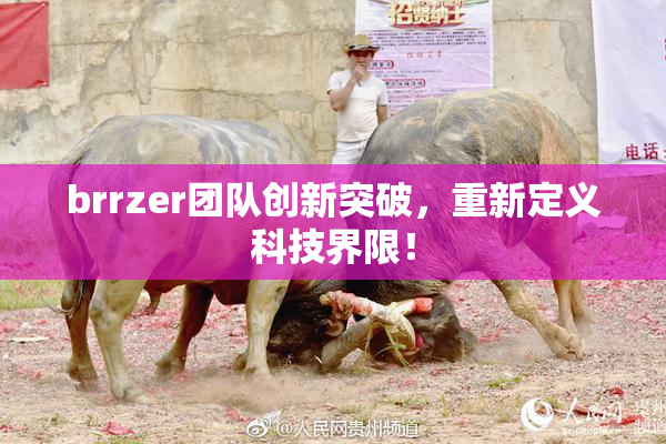 brrzer团队创新突破，重新定义科技界限！