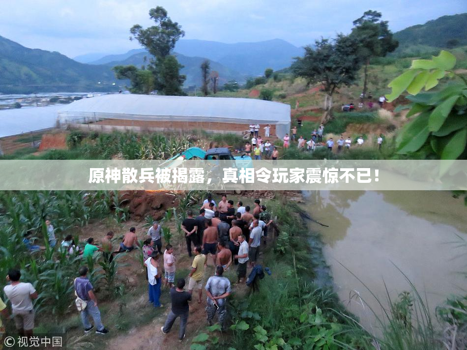 原神散兵被揭露，真相令玩家震惊不已！