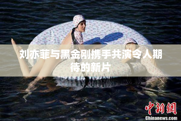 刘亦菲与黑金刚携手共演令人期待的新片