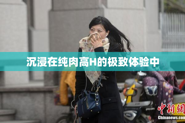 沉浸在纯肉高H的极致体验中