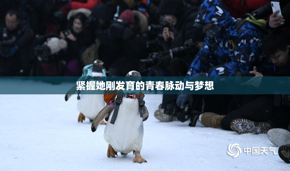 紧握她刚发育的青春脉动与梦想