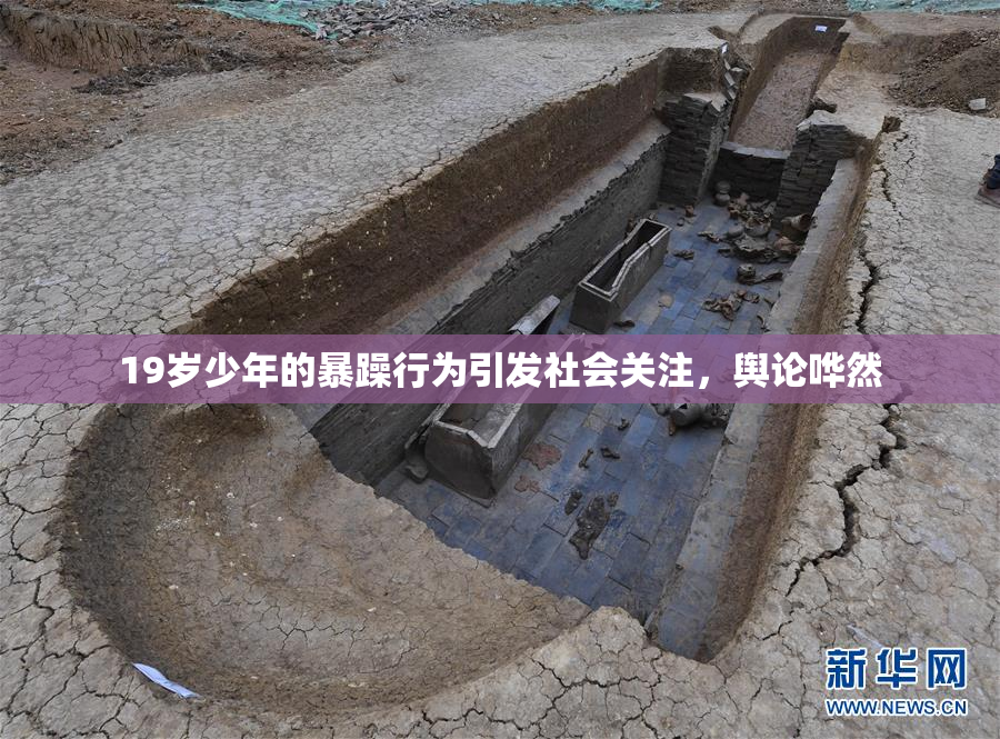 19岁少年的暴躁行为引发社会关注，舆论哗然