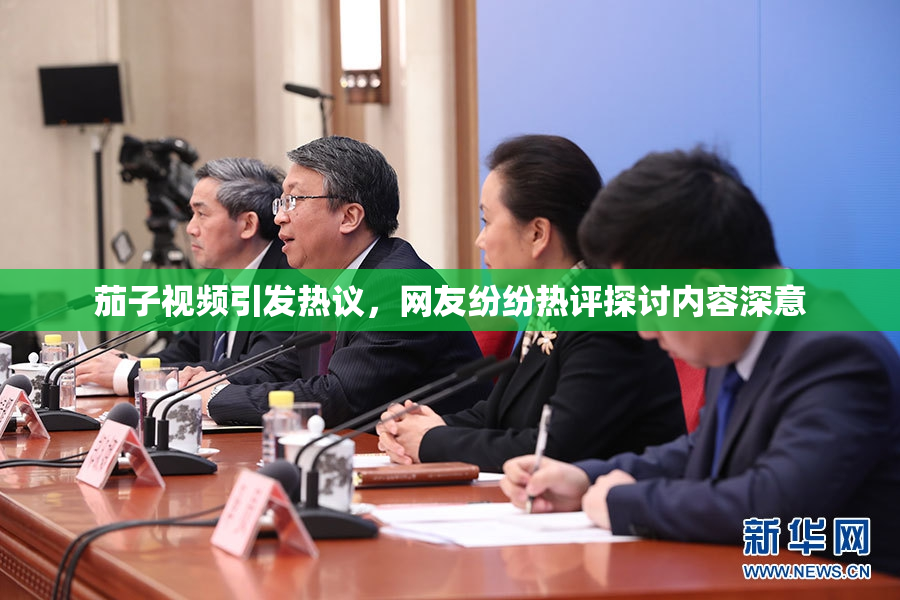 茄子视频引发热议，网友纷纷热评探讨内容深意