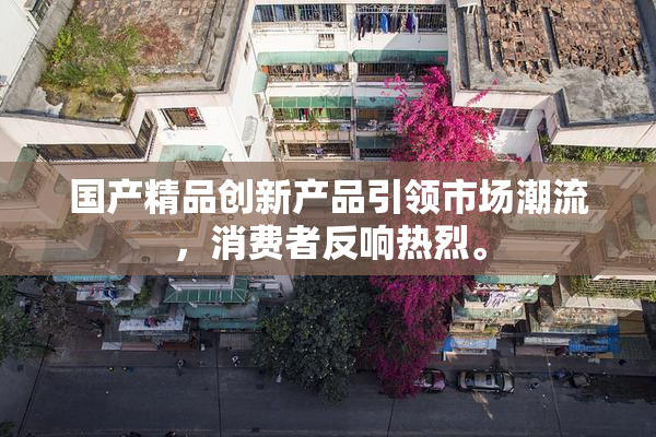 国产精品创新产品引领市场潮流，消费者反响热烈。