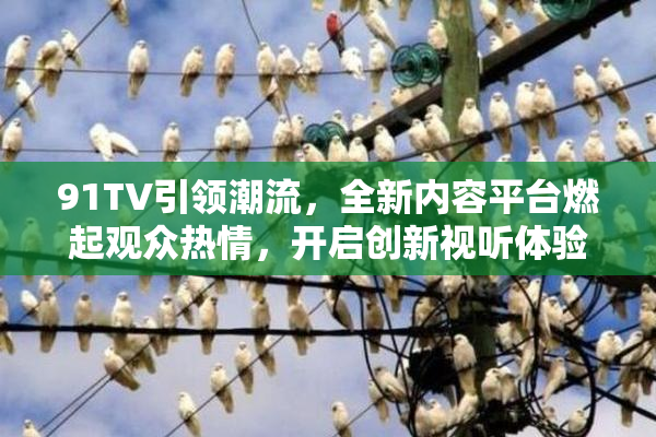 91TV引领潮流，全新内容平台燃起观众热情，开启创新视听体验