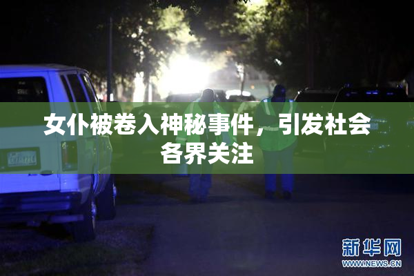 女仆被卷入神秘事件，引发社会各界关注