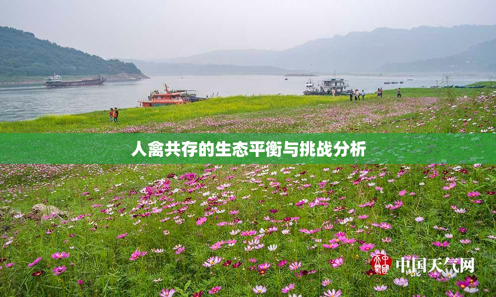 人禽共存的生态平衡与挑战分析