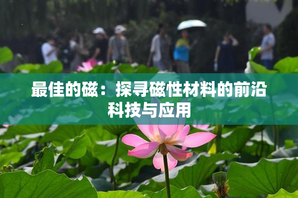 最佳的磁：探寻磁性材料的前沿科技与应用