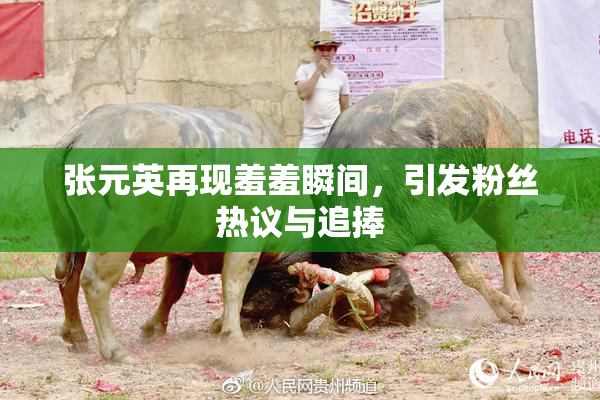 张元英再现羞羞瞬间，引发粉丝热议与追捧