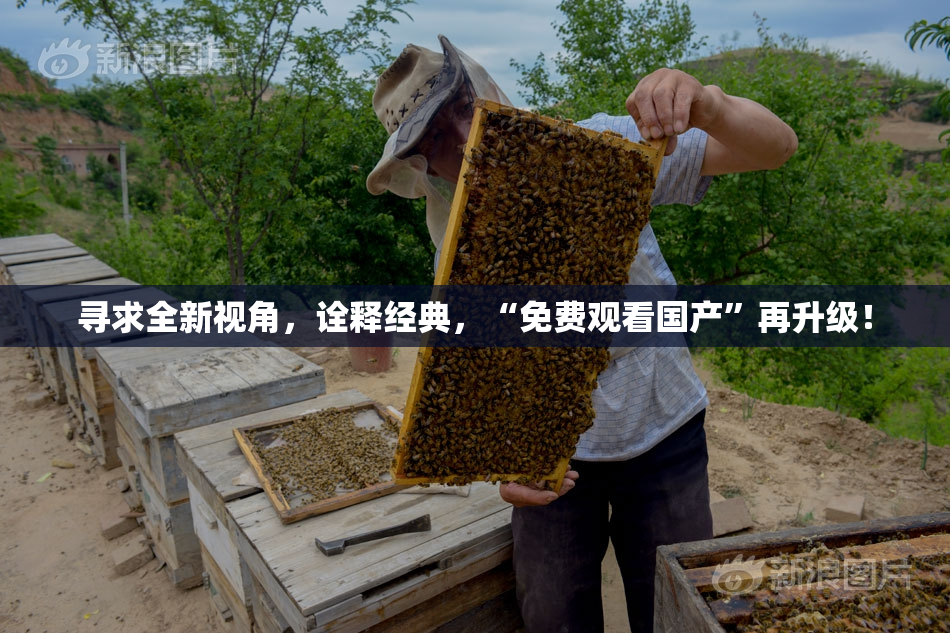 寻求全新视角，诠释经典，“免费观看国产”再升级！