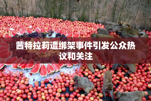 茜特拉莉遭绑架事件引发公众热议和关注
