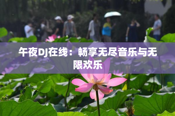 午夜DJ在线：畅享无尽音乐与无限欢乐