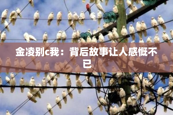 金凌别c我：背后故事让人感慨不已