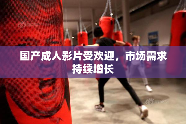 国产成人影片受欢迎，市场需求持续增长