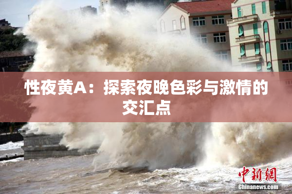 性夜黄A：探索夜晚色彩与激情的交汇点